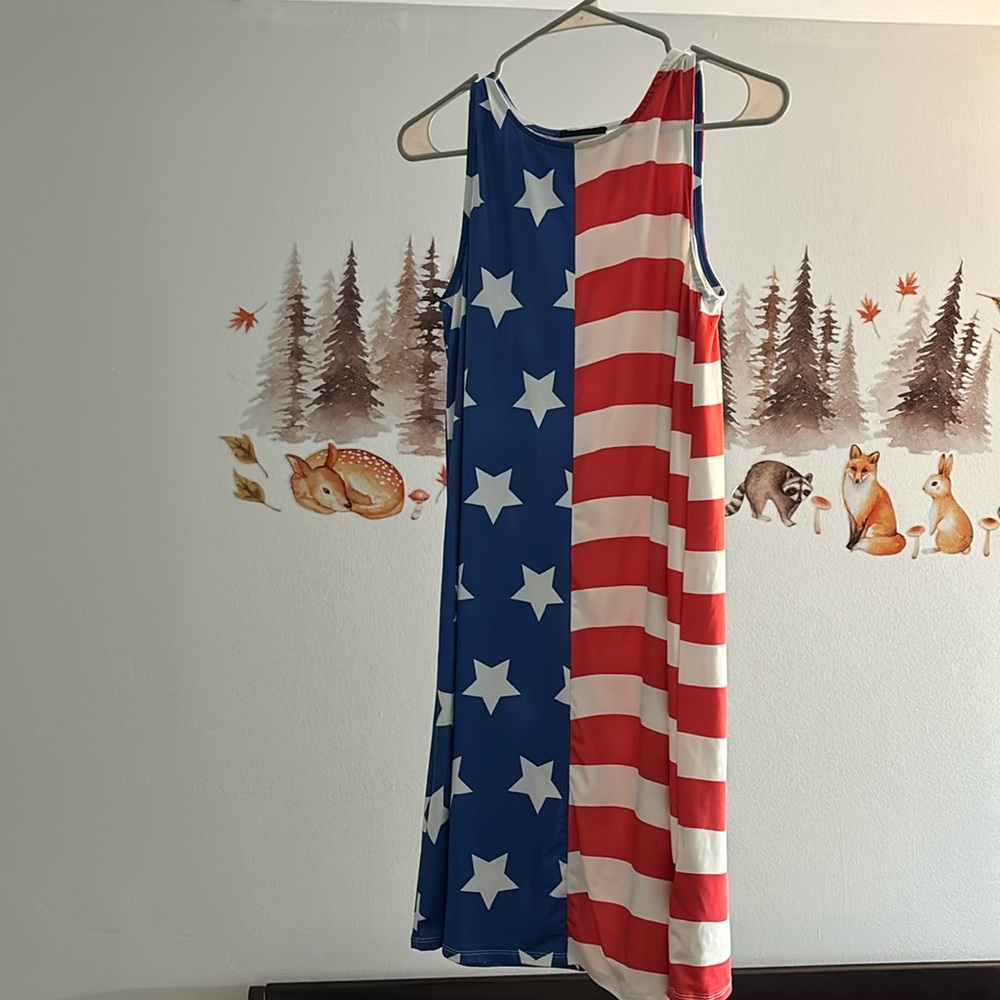 Dress Works American Flag Dress size Medium